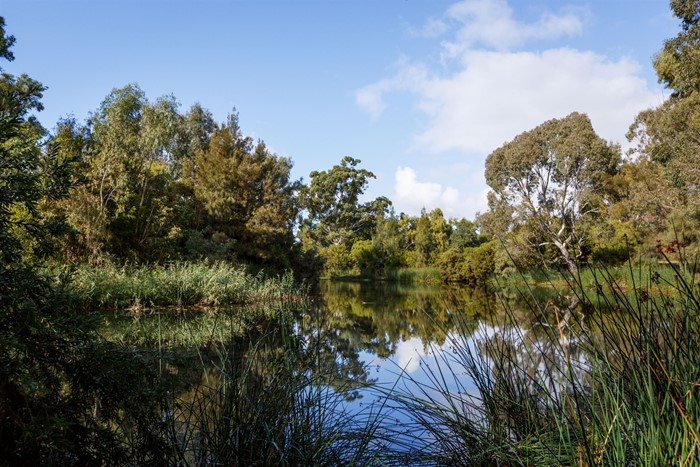 Image Gallery - Smiths Lake Reserve