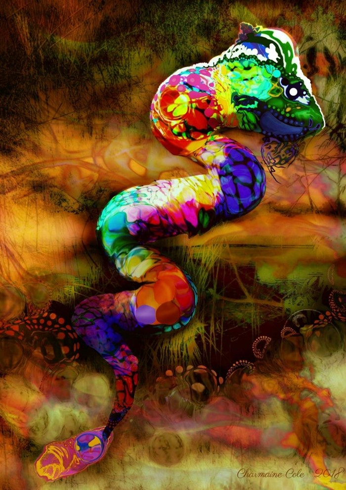 Image Gallery - Wagual Rainbow Serpent by Charmaine Cole