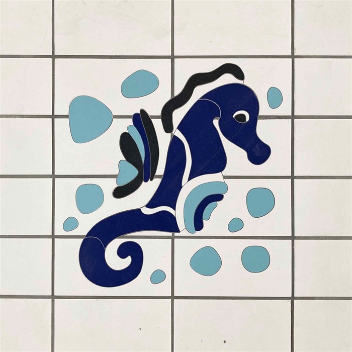 Image Gallery - Seahorse